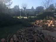 Recogida restos de poda